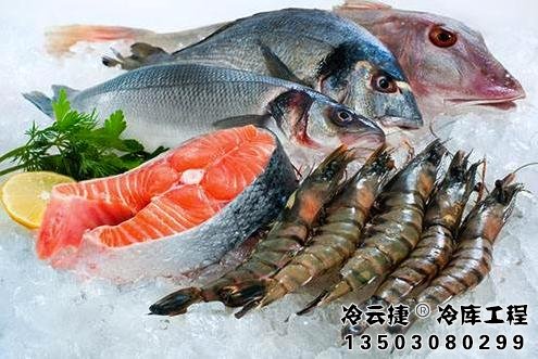 清远海鲜冷库