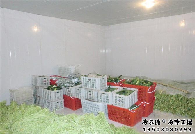 广州蔬菜冷库